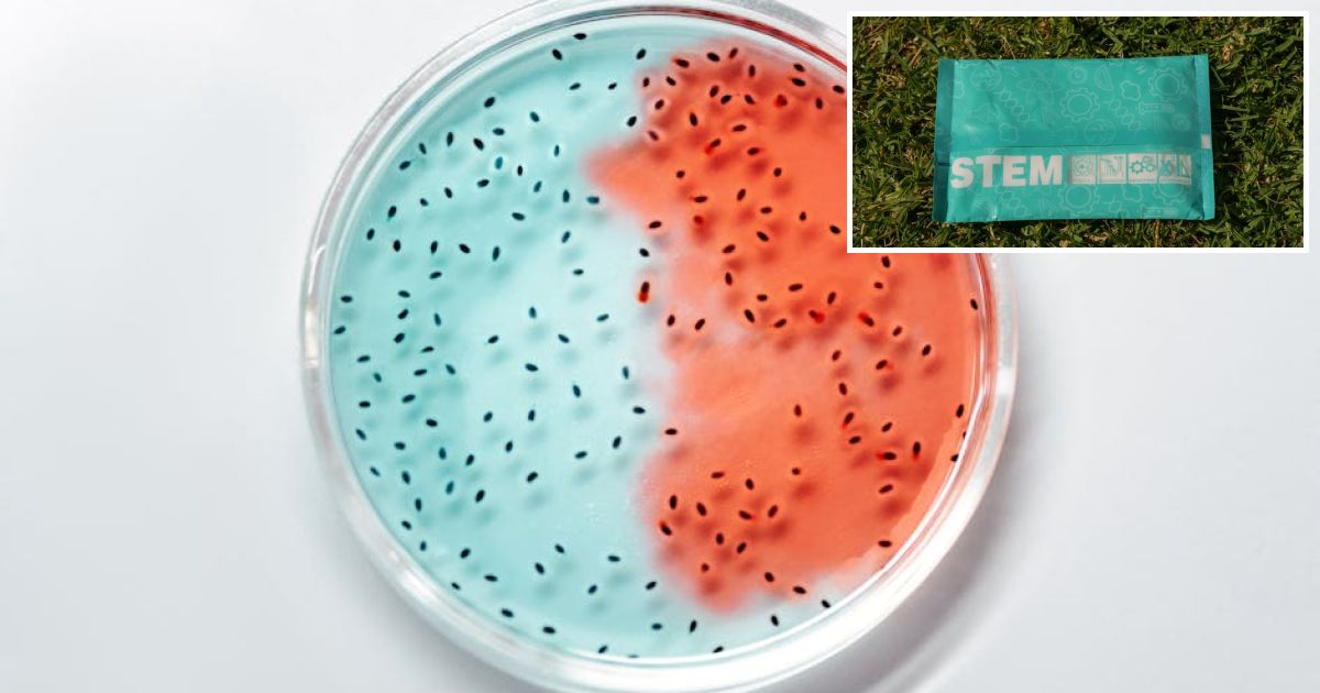 Hotstuff Labs launches Hotstuff, a DeFi native Layer 1 connecting On-Chain Trading with Global Fiat Rails